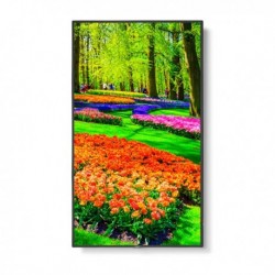 NEW M431 13NEC-M431 NEC M431 43 INCH 4K ULTRA HIGH DEFINITION COMMERCIAL DISPLAY / 3840X2160 / 500 CD/M2 /24/7 3YR WARRANTY.d.